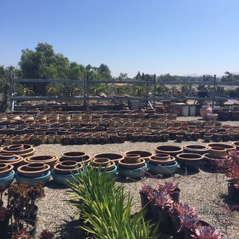Rancho Vista Cacti & Succulent - Large assortment of pots - Nurseries & Gardening Near Me - Vista, California Rancho Vista Cacti & Succulent - Large assortment of pots - Nurseries & Gardening Near Me - Vista, California