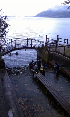 Das Traunsee by null