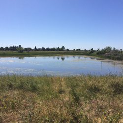 Guttridge Park
