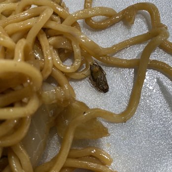 P.F. Chang's - Noodles - cockroach in our food - Chinese Near Me - Greenville, South Carolina P.F. Chang's - Noodles - cockroach in our food - Chinese Near Me - Greenville, South Carolina