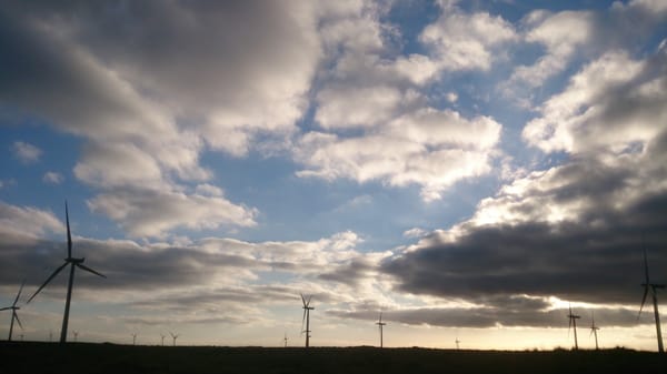 Whitelee wind farm by null