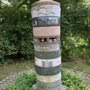 Photo of Schmetterlingsfeld