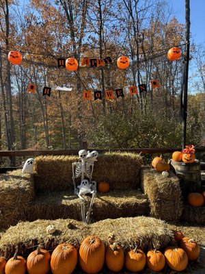 Hard Truth Distilling Co. by null