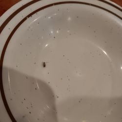 City Buffet - Found roach on my plate This is unacceptable. This is so unprofessional. And honestly I would never eat here ever again.