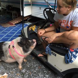 Honey Bear Campground