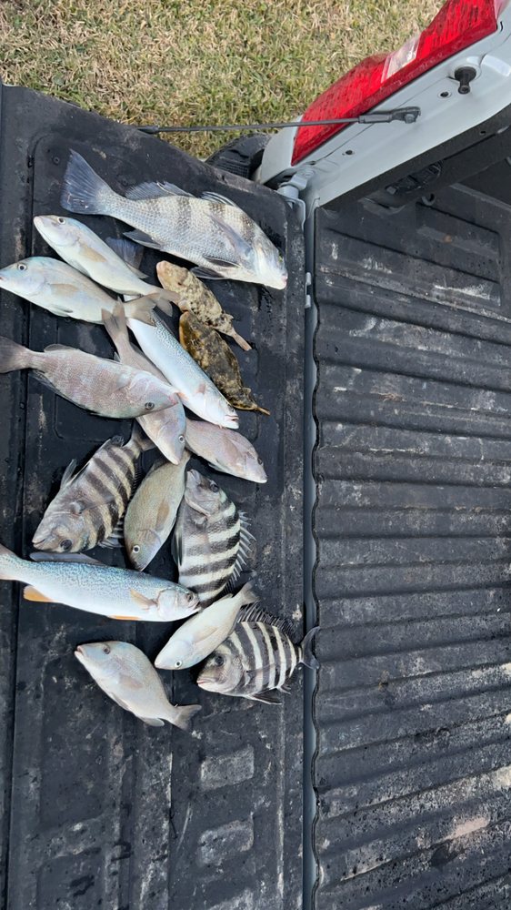 Flyin Tide Charters Logo