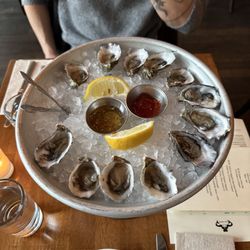 Oysters