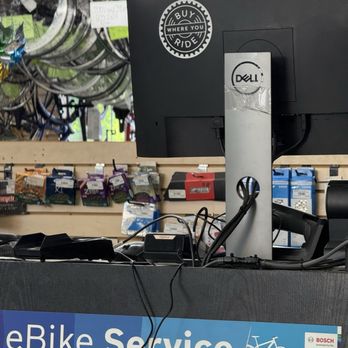 Walt's Cycle - Interior: front counter - Bikes Near Me - Sunnyvale, California