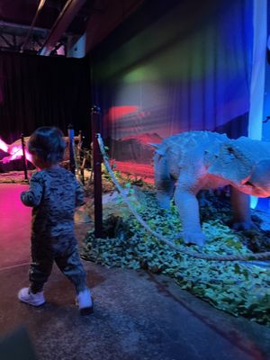 DINO SAFARI - Updated August 2025 - 14 Photos - 849 E Commerce St, San