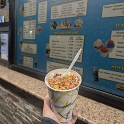 Dairy Cream Ice Cream - Reeses pieces artic swirl