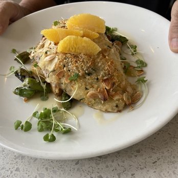 Prime Catch - Almond snapper - Seafood Near Me - Boynton Beach, Florida Prime Catch - Almond snapper - Seafood Near Me - Boynton Beach, Florida