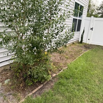 AIM REAL ESTATE MANAGEMENT - They wouldnt allow me to give it some curb appeal without fees so I chose not to upgrade. - Property Management Near Me - Bluffton, South Carolina AIM REAL ESTATE MANAGEMENT - They wouldnt allow me to give it some curb appeal without fees so I chose not to upgrade. - Property Management Near Me - Bluffton, South Carolina