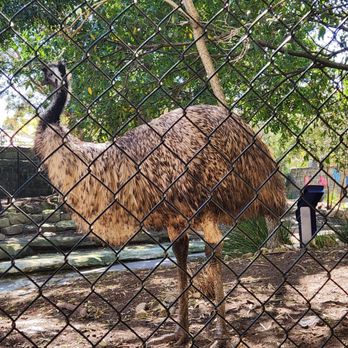 Taronga Zoo - Zoos Near Me - Mosman, NSW Taronga Zoo - Zoos Near Me - Mosman, NSW