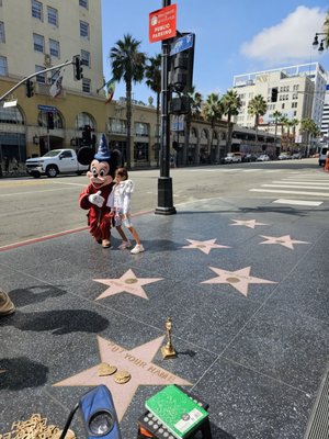 Hollywood Walk of Fame by null