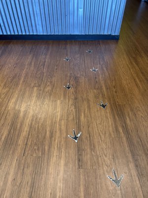 The Chicken Shack by null