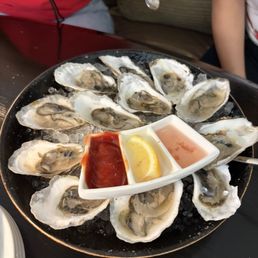 Oysters Oysters