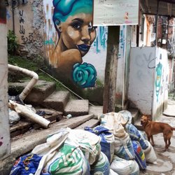 Be a Local Tours - Favela tour with lots of beautiful street art