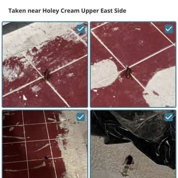 HOLEY CREAM UPPER EAST SIDE - Updated November 2025 - 20 Photos & 12