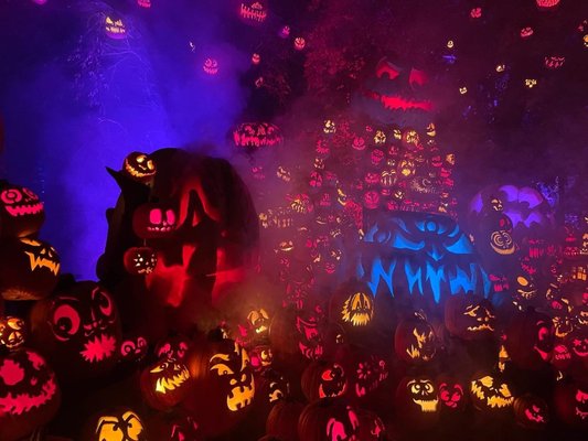 Roger Williams Park Zoo by null