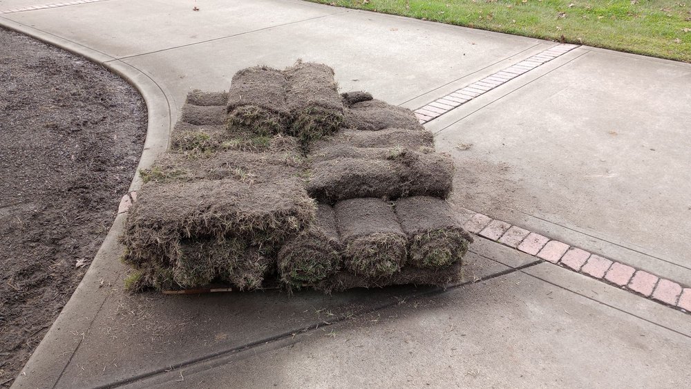 SUPERSOD Updated October 2024 14 Photos & 22 Reviews 12600 Downs