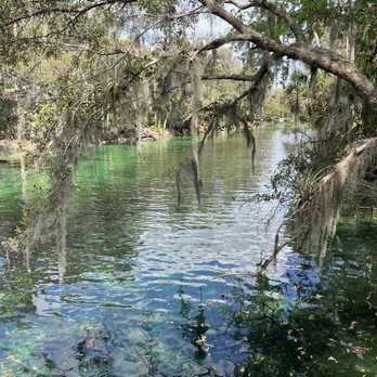 Blue Spring State Park - Springs - Parks Near Me - Orange City, Florida Blue Spring State Park - Springs - Parks Near Me - Orange City, Florida