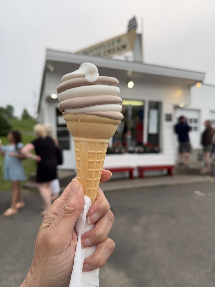 Donnelly's Ice Cream Logo