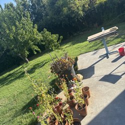 Buddy's House - Part of the backyard. We have a peach tree and a plum tree