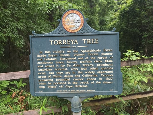 Torreya State Park by null