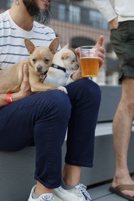 Bark Social by null
