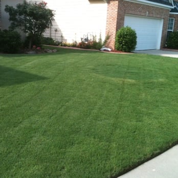 The Grass Professionals - Landscaping Near Me The Grass Professionals - Landscaping Near Me