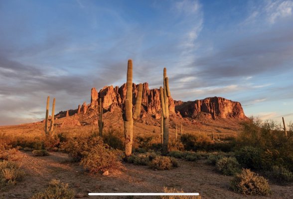 Lost Dutchman State Park by null