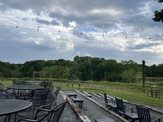 Treehouse Vineyards by null