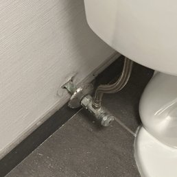 Loose toilet. The shower head was loose and the shower damaged to the point in need of repair.