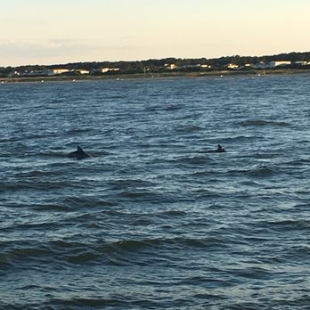 Rudee Tours - Tours Near Me - Virginia Beach, Virginia Rudee Tours - Tours Near Me - Virginia Beach, Virginia