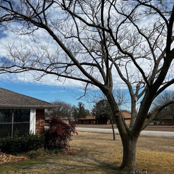 Hernandez Tree Experts - Tree Services Near Me