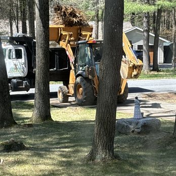 Kodiak Excavating - Big stump in the truck! - Excavation Services Near Me - Galway, New York Kodiak Excavating - Big stump in the truck! - Excavation Services Near Me - Galway, New York