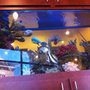 Photo of Paradise Family Dental