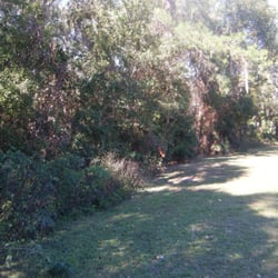 Woods all around