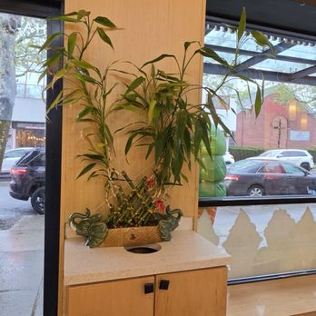 Aoko Matcha - Lucky Bamboo - Gelato Near Me - New York, New York Aoko Matcha - Lucky Bamboo - Gelato Near Me - New York, New York