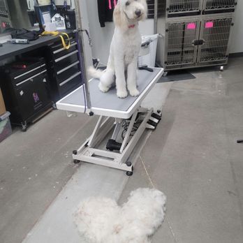 Fur Lab - Pet Groomers Near Me - Edmond, Oklahoma