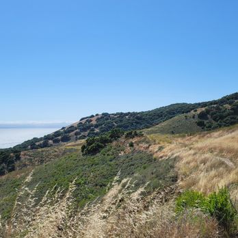 Pismo Preserve - Hiking Near Me - Pismo Beach, California Pismo Preserve - Hiking Near Me - Pismo Beach, California