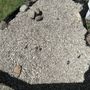 Photo of Top Knoch Landscaping Services