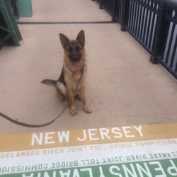 Reliable Canines