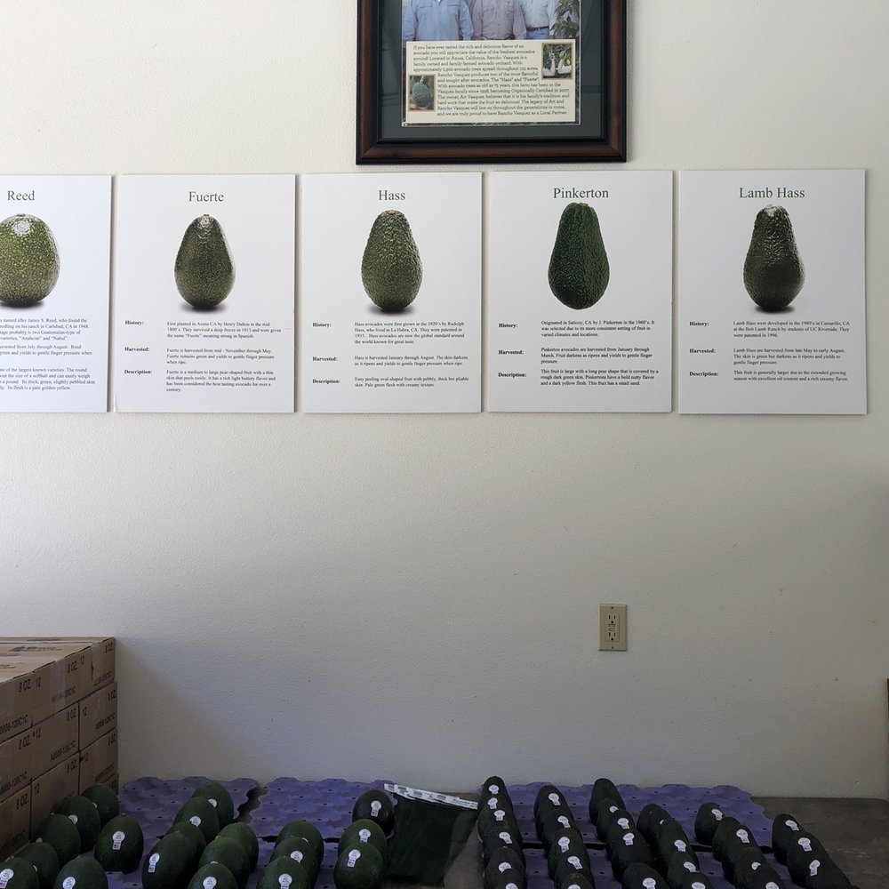Rancho Vasquez - The different types of avocados grown here - Farms Near Me - Azusa, California Rancho Vasquez - The different types of avocados grown here - Farms Near Me - Azusa, California