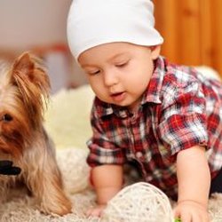 The Rug Beater Cleaning Enterprises - 3 Signs You Need Carpet Cleaning Services