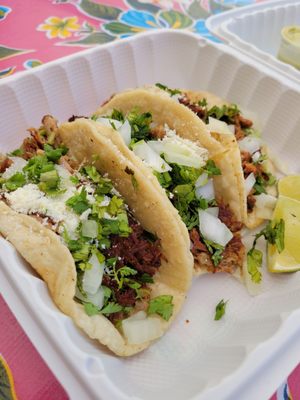 Poblano Pepper by null