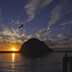Central Coast Music