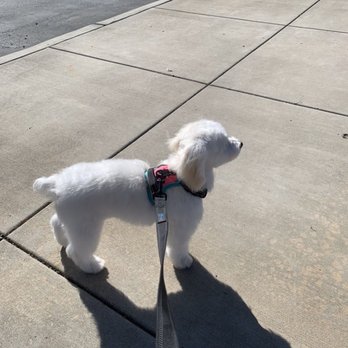 Perfect Pet Spaw - Pet Groomers Near Me - Temecula, California Perfect Pet Spaw - Pet Groomers Near Me - Temecula, California