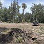 Photo of Dynasty Land Management