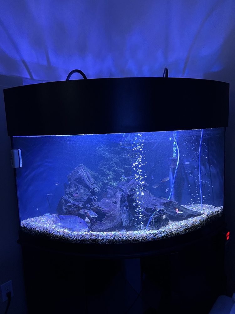 AQUATIC PET CARE Updated June 2024 76 Photos 400 20th St